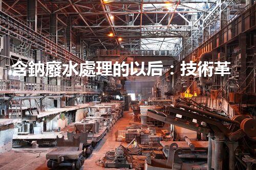 含鈉廢水處理的以后：技術革新與環(huán)保挑戰(zhàn)！
